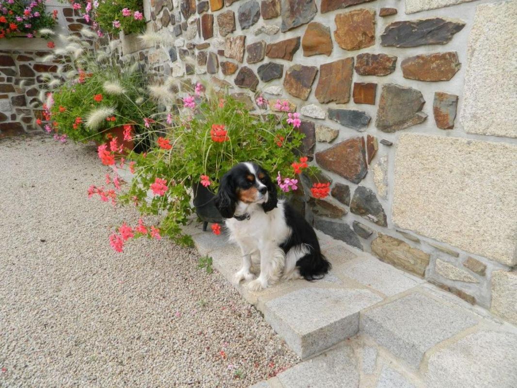La Vieux Ville Trégomeur Dış mekan fotoğraf
