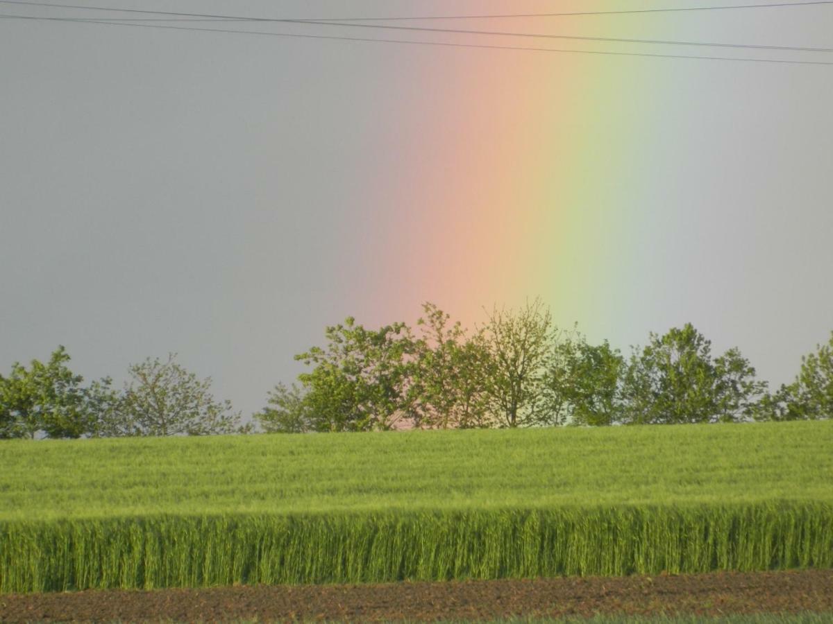 La Vieux Ville Trégomeur Dış mekan fotoğraf